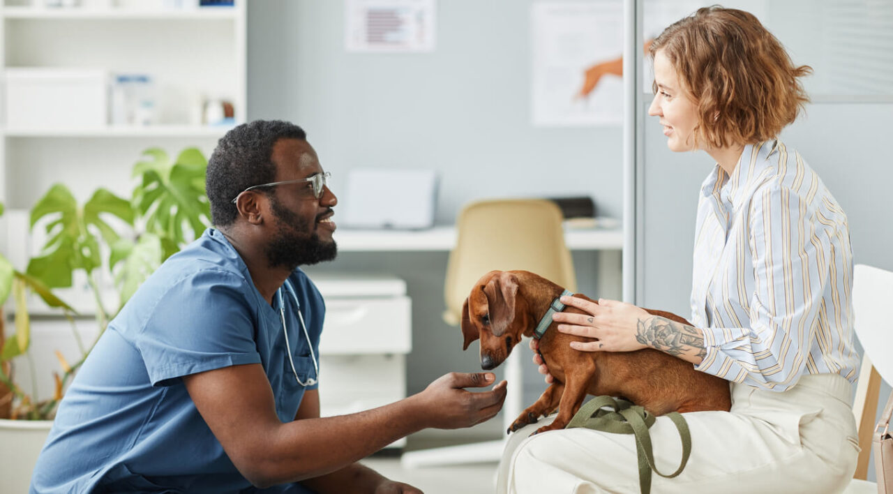 Uso da IA para reembolso em Seguros Veterinários